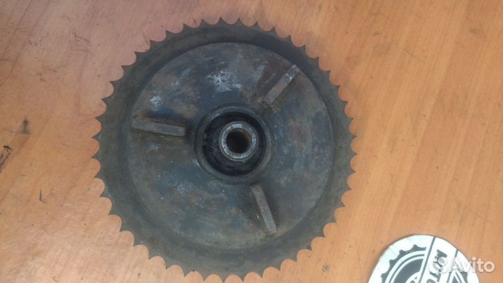 Задняя звезда ковровец