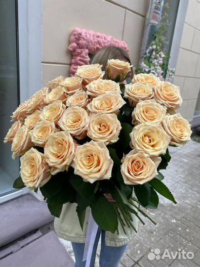 Роза Россия