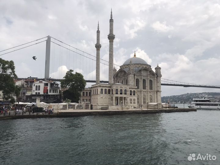 Байер в Турции