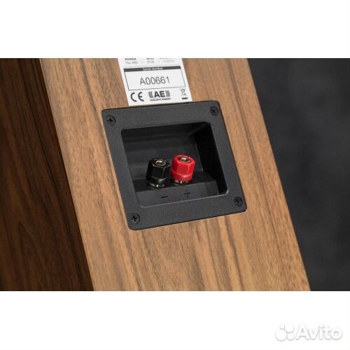 Напольная акустика acoustic energy AE 109-2