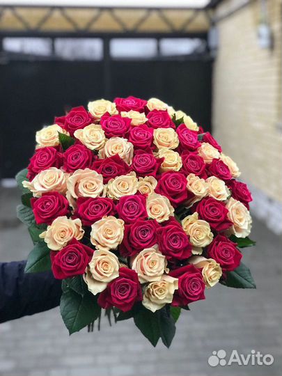 Розы 101 роза 25 35 51 101