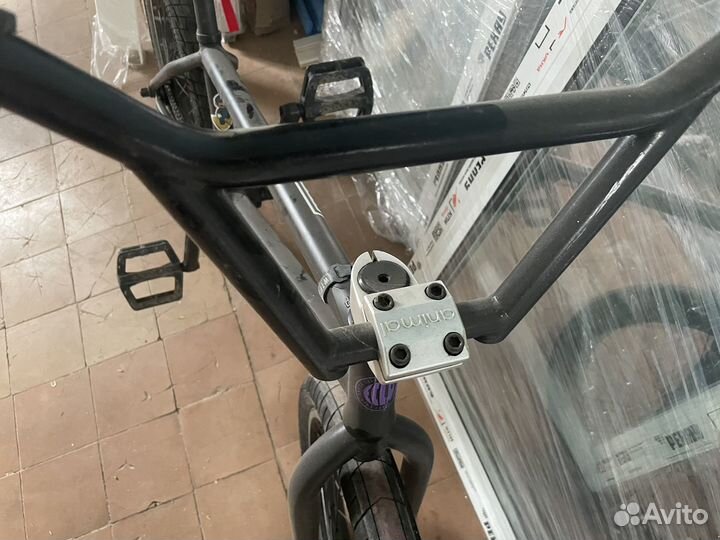 Bmx animal eclat wtp salt plus дёрбан