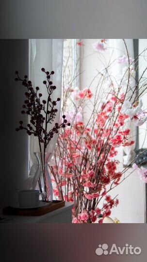 Фотостудия