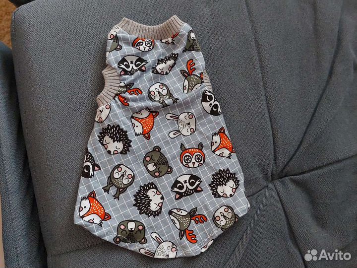 Одежда для сфинкса 4-6 месяцев