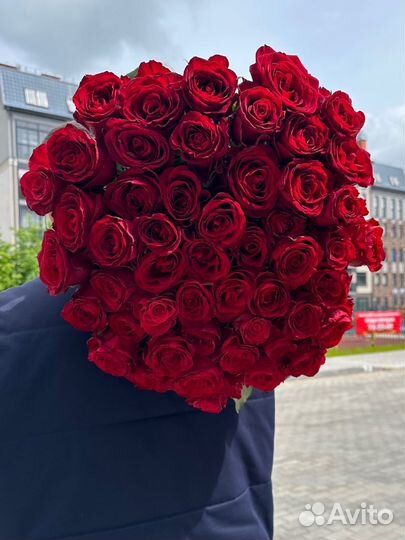 Роза красная 51 шт. Доставка Калининград