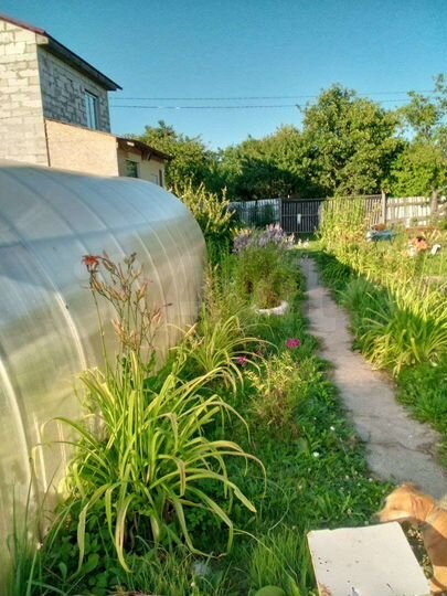 Дача 50 м² на участке 6 сот.