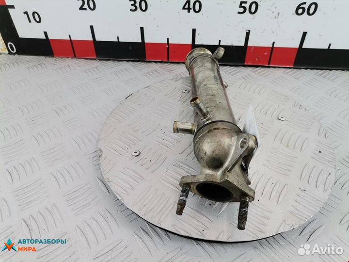 Охладитель EGR / Радиатор EGR Opel Signum C 2003