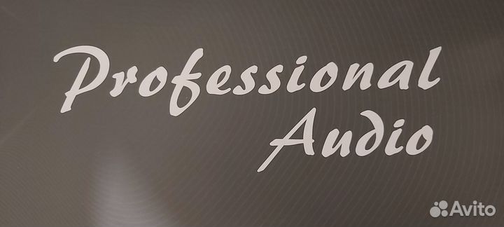 Вокальные радиомикрофоны 2шт.с одной базой