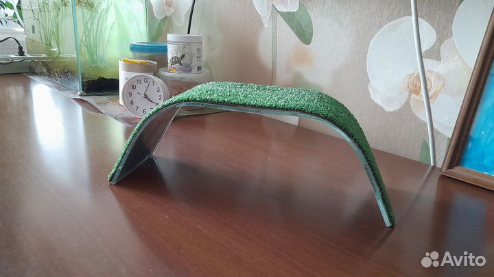 Мостик для черепахи