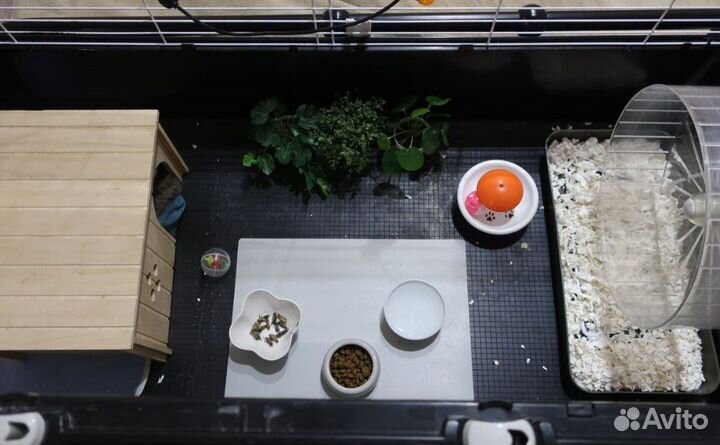 Клетка Ferplast Casita 120