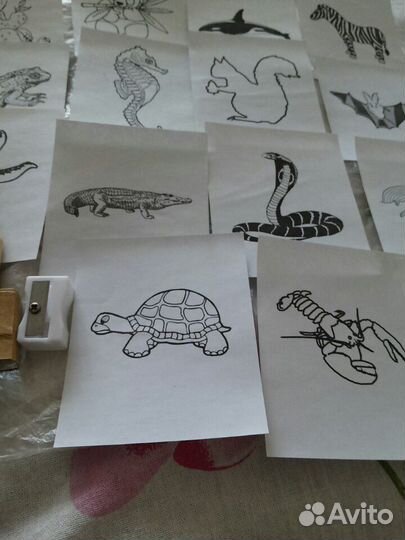 Цветные карандаши с точилкой и раскрасками