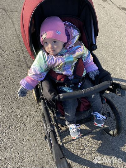 Коляска 2 в 1 nord line