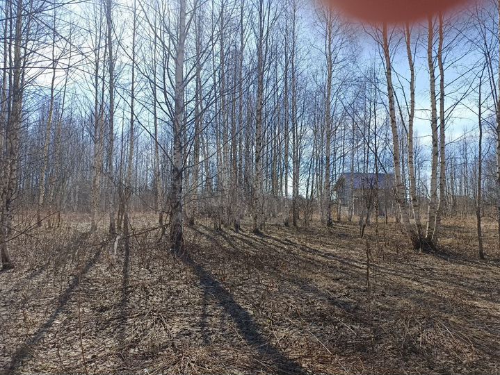 Участок 19,7 сот. (ИЖС)