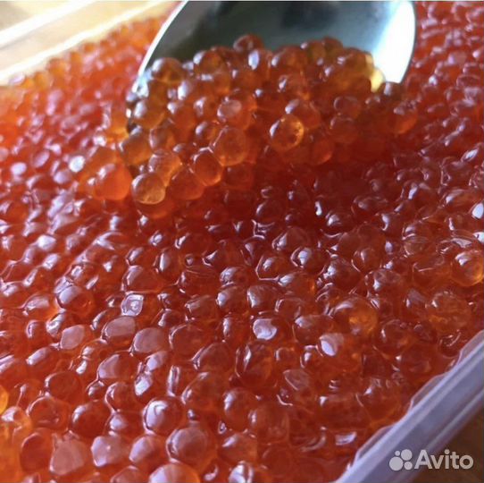 Красная Икра горбуши