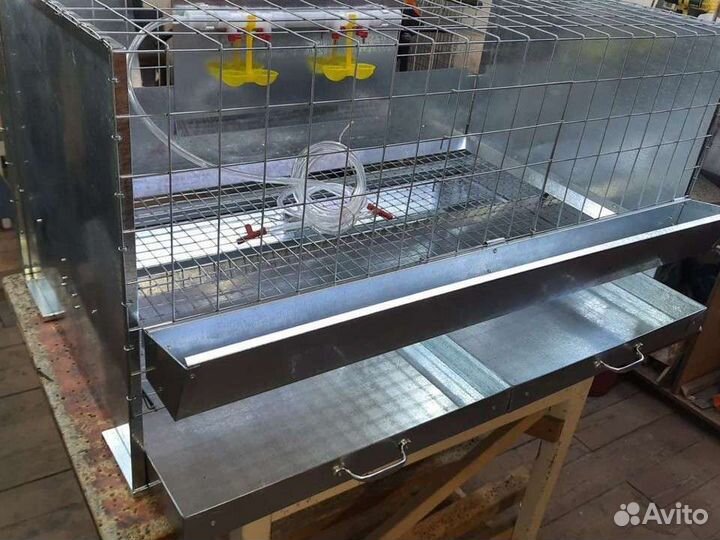 Клетка для несушек, бройлеров