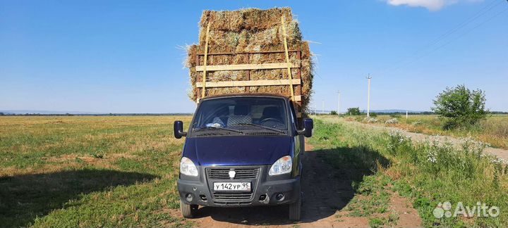 Люцерна суданка разнотравие итд