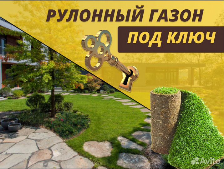 Рулонный газон доставка укладка Элитный