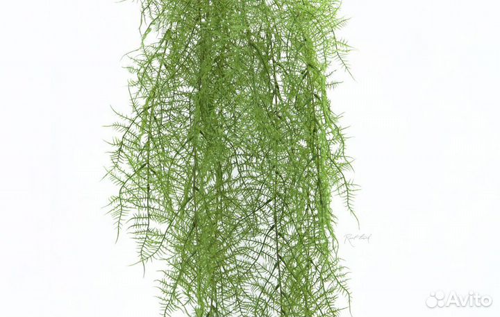 Искусственные растения папоротник/лиана