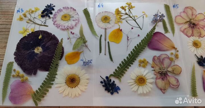 Сухоцветы из разных цветов и трав