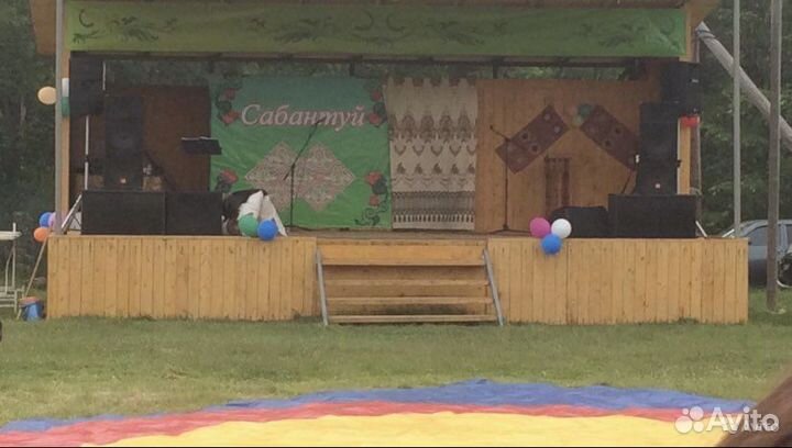 Колонки EVM 215 subwoofer EVM 215