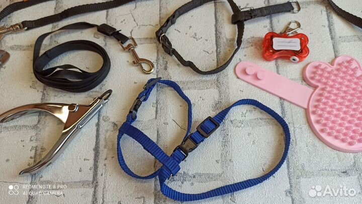 Шлейка,поводок,когтерезка комбинезон для собак