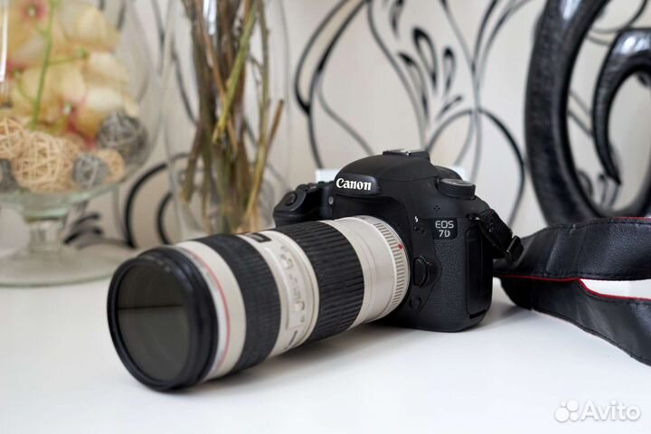 Canon 7D + 70-200 f/4 (35.500 пробег)