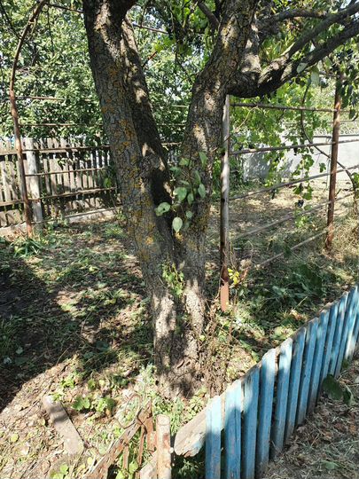 Дом 83,1 м² на участке 15 сот.