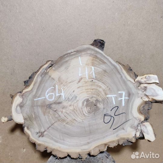 Слэб карагача