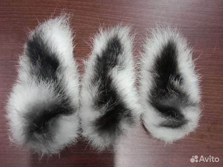 Хвосты зайца