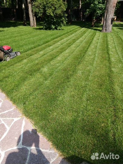 Помощник по хозяйству с проживанием