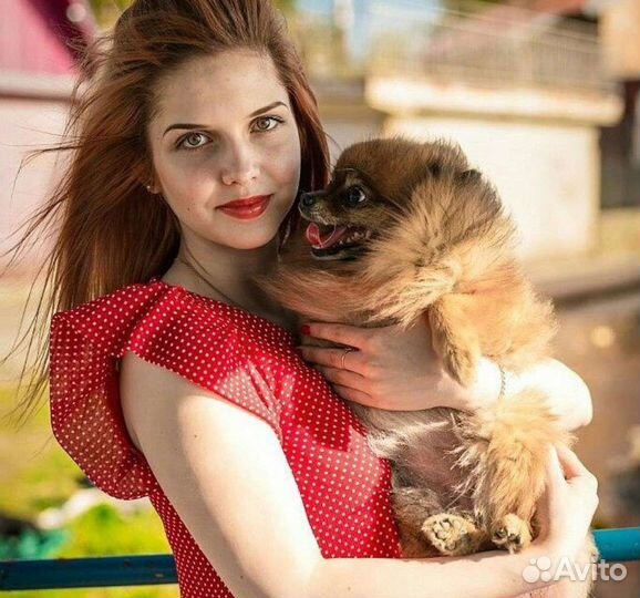 Передержка кошек, собак