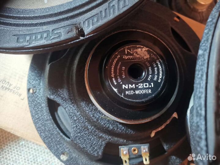 Динамики dst 20.1 neo