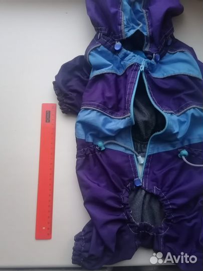 Одежда для средних собак