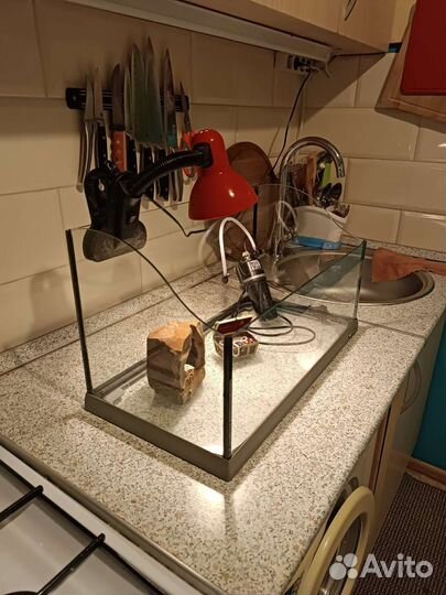 Аквариум-полюдариум на 26 литров