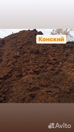 Пергной:Конский,Коровий