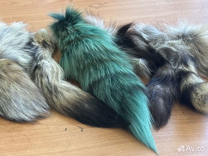 Хвост лисий