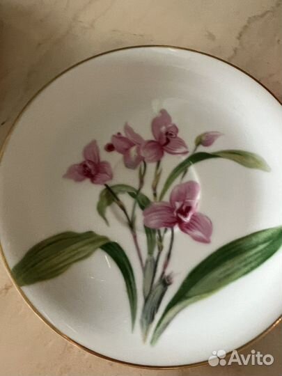 Чайная пара с орхидеями lycaste