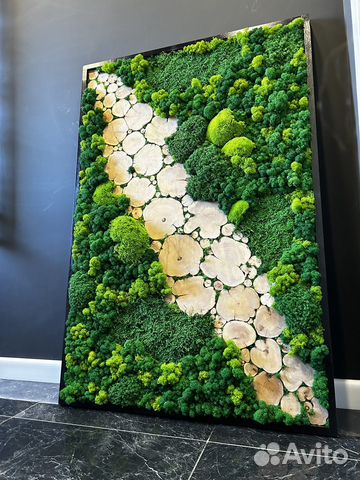 Панно из мха, Фитостена из мха