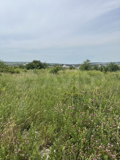 Участок 1,27 га (ИЖС)