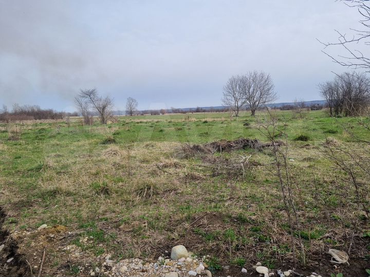 Участок 8 сот. (СНТ, ДНП)