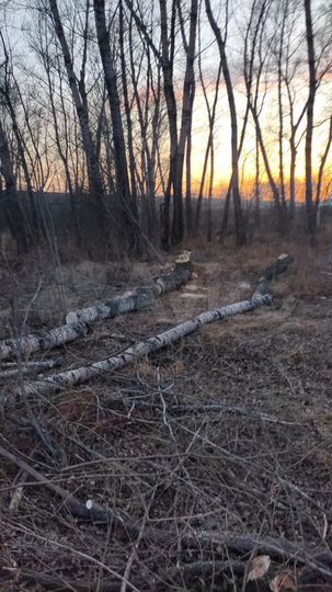 Участок 11,7 сот. (ИЖС)