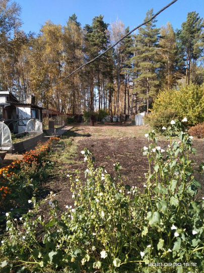 Дача 42 м² на участке 12,6 сот.