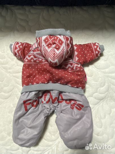 Одежда для собак мелких пород