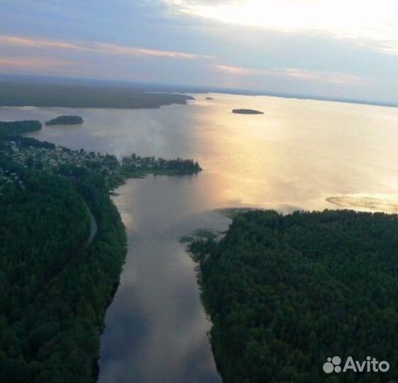 Рыбалка, грибные туры на озере Шотозеро и реке Шуе
