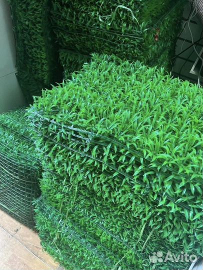 Фитомодуль распродажа