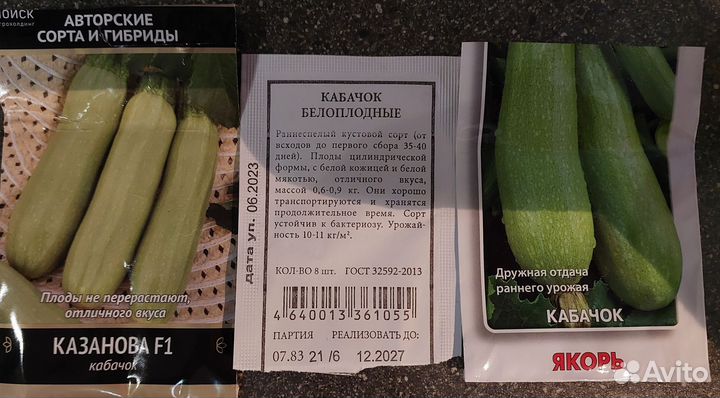 Рассада огурцов, кабачков, арбузов