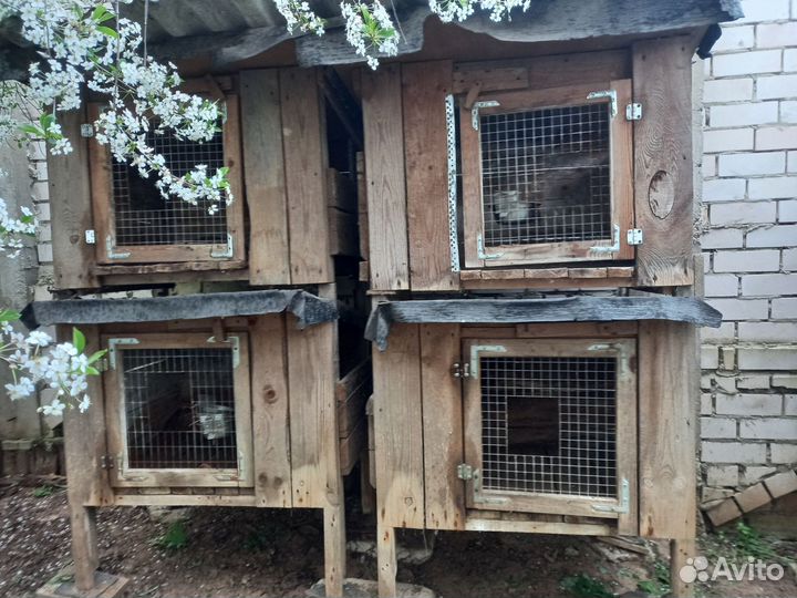 Клетка для кролика большая