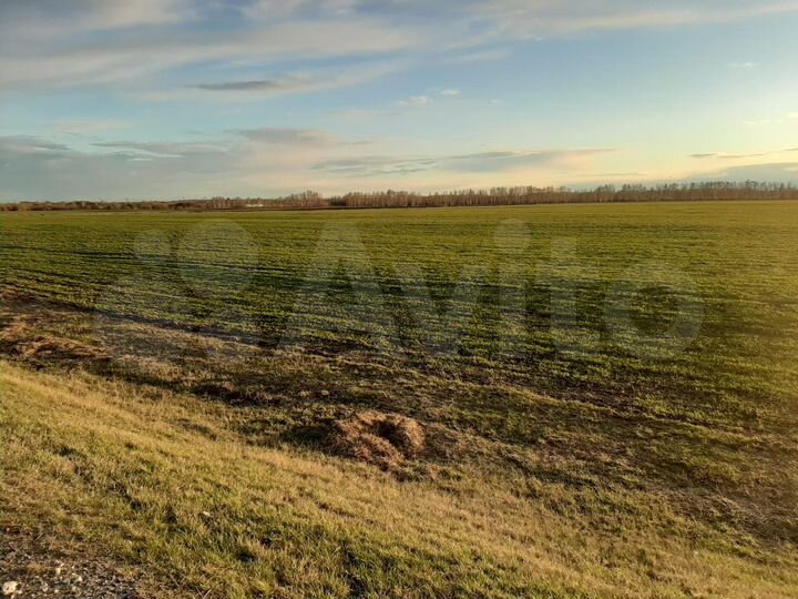 Участок 3,37 га (промназначения)