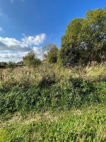 Участок 7 сот. (СНТ, ДНП)