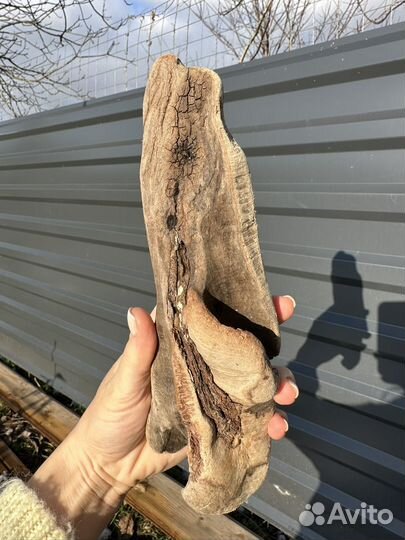 Коряги дрифтвуд набор